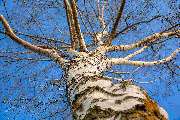 Buch den Fink - GALLERY