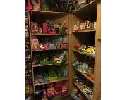 Buchbinder Scheler - GALLERY