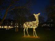 Buchungszentrum Sylt - Westerland im Lichterglanz - Stadtpark-