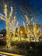 Buchungszentrum Sylt - Westerland im Lichterglanz - Stadtpark