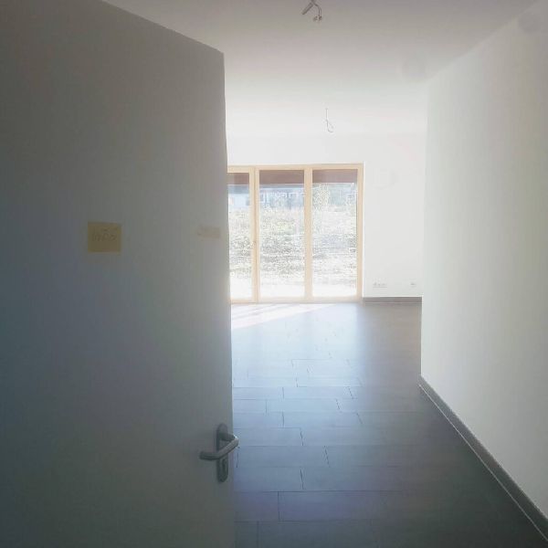 BUDI & ALEX Glasreinigung & Gebäudereinigung - 2