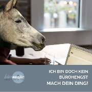 büromeister   Heike Zeitler - GALLERY
