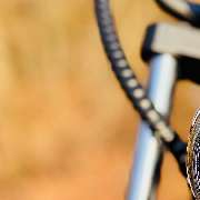 Bull-Bikes Bodensee - GALLERY