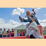 Kuh-Elza von Bullriding from Cowboyhat sorgt auf jeder Party für Schwung!

