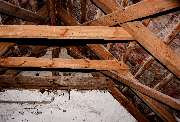 Burkert Holzschutz - GALLERY