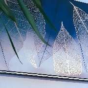 Busch Immobilien - GALLERY