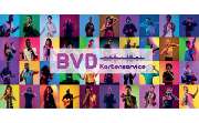 BVD Ticket - LOGO