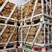 BZN Hagebau Wilhelmshaven GmbH & Co. KG - GALLERY