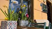 Cado's Cafe & Creperie - 18