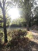 Café Fort XII - GALLERY