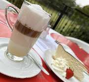 Café Fort XII - GALLERY