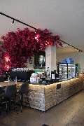 Café Gretchen - GALLERY