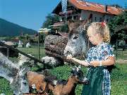 Cafe Pauli - GALLERY