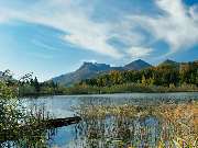 Cafe Pauli - GALLERY