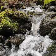 Café Pension Forellenhof - Cafe Pension Forellenhof