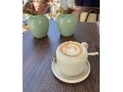 Café Saanu - GALLERY