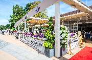 Cafe Wichtig - GALLERY