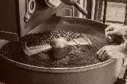 Caffeppuccino - GALLERY