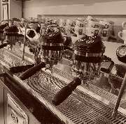 Caffeppuccino - GALLERY
