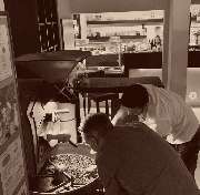 Caffeppuccino - GALLERY