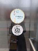Calligraphy Hair Martina Bark - GALLERY