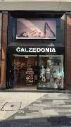 Calzedonia - GALLERY