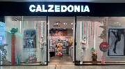 Calzedonia - GALLERY