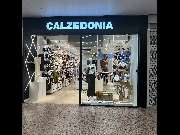 Calzedonia - GALLERY