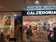 Calzedonia - GALLERY