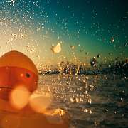 Camping am See - GALLERY