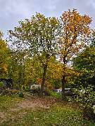 Campingplatz am Sassenpfuhl e.V. - GALLERY