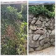 Candela Ihr Gebäudedienstleister - GALLERY