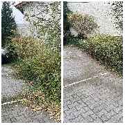 Candela Ihr Gebäudedienstleister - GALLERY