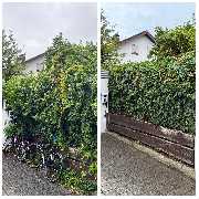 Candela Ihr Gebäudedienstleister - GALLERY