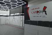 CarDoc Essen GmbH Smart Repair Technik - GALLERY