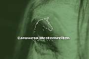 Carowesa Westernreiten - GALLERY