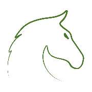 Carowesa Westernreiten - LOGO