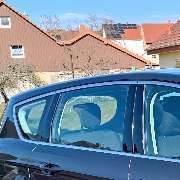 Carpolisher - GALLERY