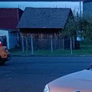 Carpolisher - GALLERY