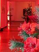 Catering Aachen Event Probat - GALLERY