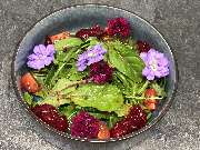 CATERING PASSION GmbH - GALLERY