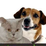 catz-n-dogz Heimtierbedarf