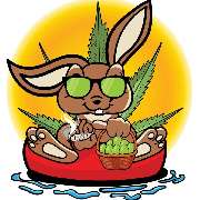 CBD-Hase - LOGO