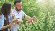 CBD-Onlineversand24 - 4