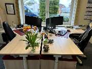 Census - Treuhand GmbH - Büro Vorn.jpg