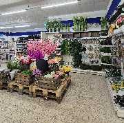 CENTERSHOP Marsberg - CENTERSHOP Marsberg