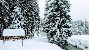 Chalets zum Latschen - 7