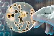 Chemisches Laboratorium Dr. Stegemann GmbH - GALLERY