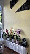 Cherritha Thai-Massage&Spa - GALLERY