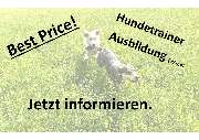 Chiemgauer Hundeschule - GALLERY